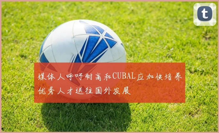媒体人呼吁耐高和CUBAL应加快培养优秀人才送往国外发展