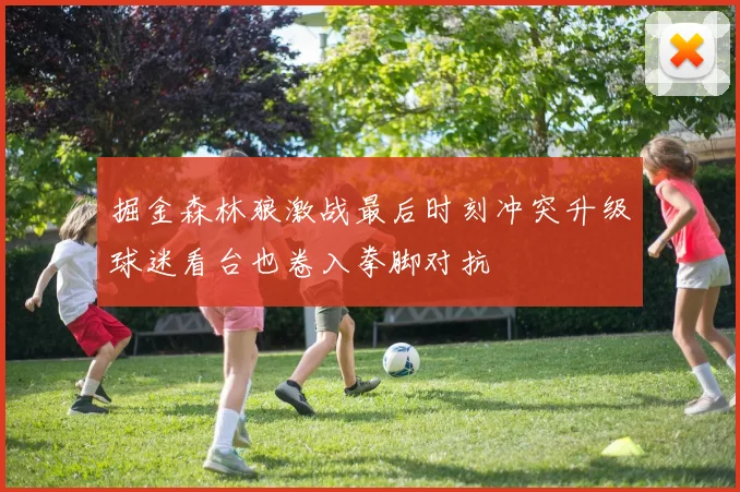 掘金森林狼激战最后时刻冲突升级球迷看台也卷入拳脚对抗